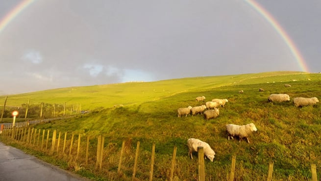 Helping Out the Redvale Community for Three Decades